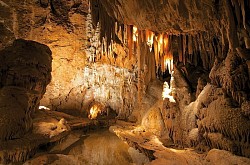 Nummer 05 / Grot de la madeleine werd in 1888 ontdekt door Germain Rigaud. Dit was een herder uit het dorp. Deze grotten vallen onder de gemeente Saint-Remeze. Dit is een toeristische grot in het zuidoosten van Frankrijk. De grot is opgesteld voor bezoekers, die onder begeleiding van een gids, deel kunnen nemen aan een rondleiding.